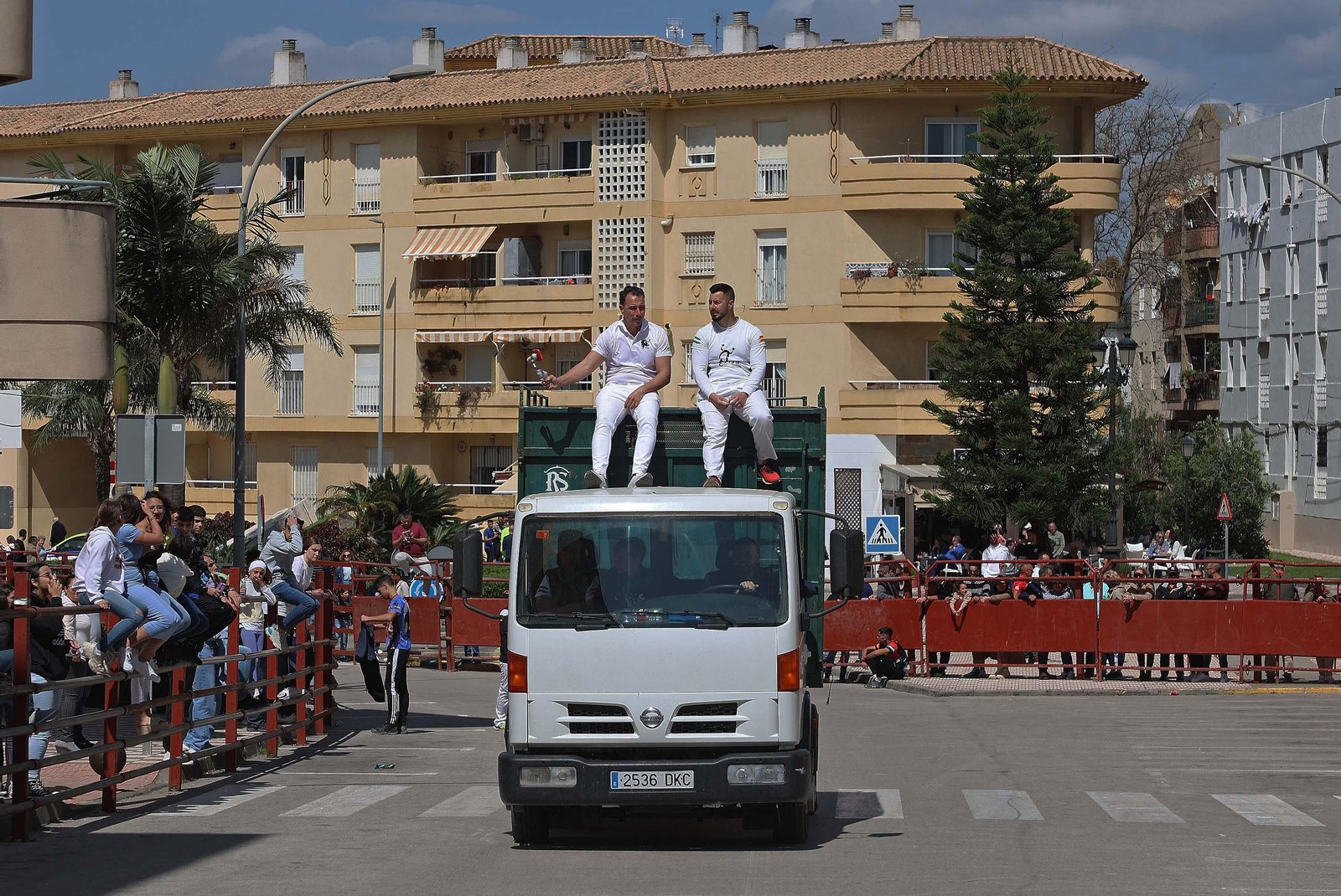 Las mejores fotos del Toro Embolao de Los Barrios 2024