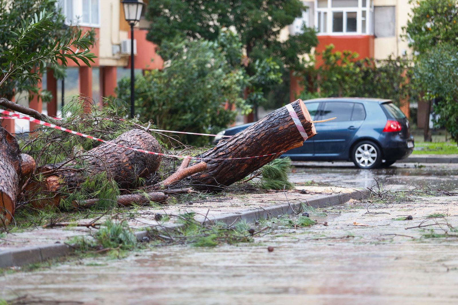 Fotos: Así amaneció el Campo de Gibraltar tras el paso de la borrasca Leonardo