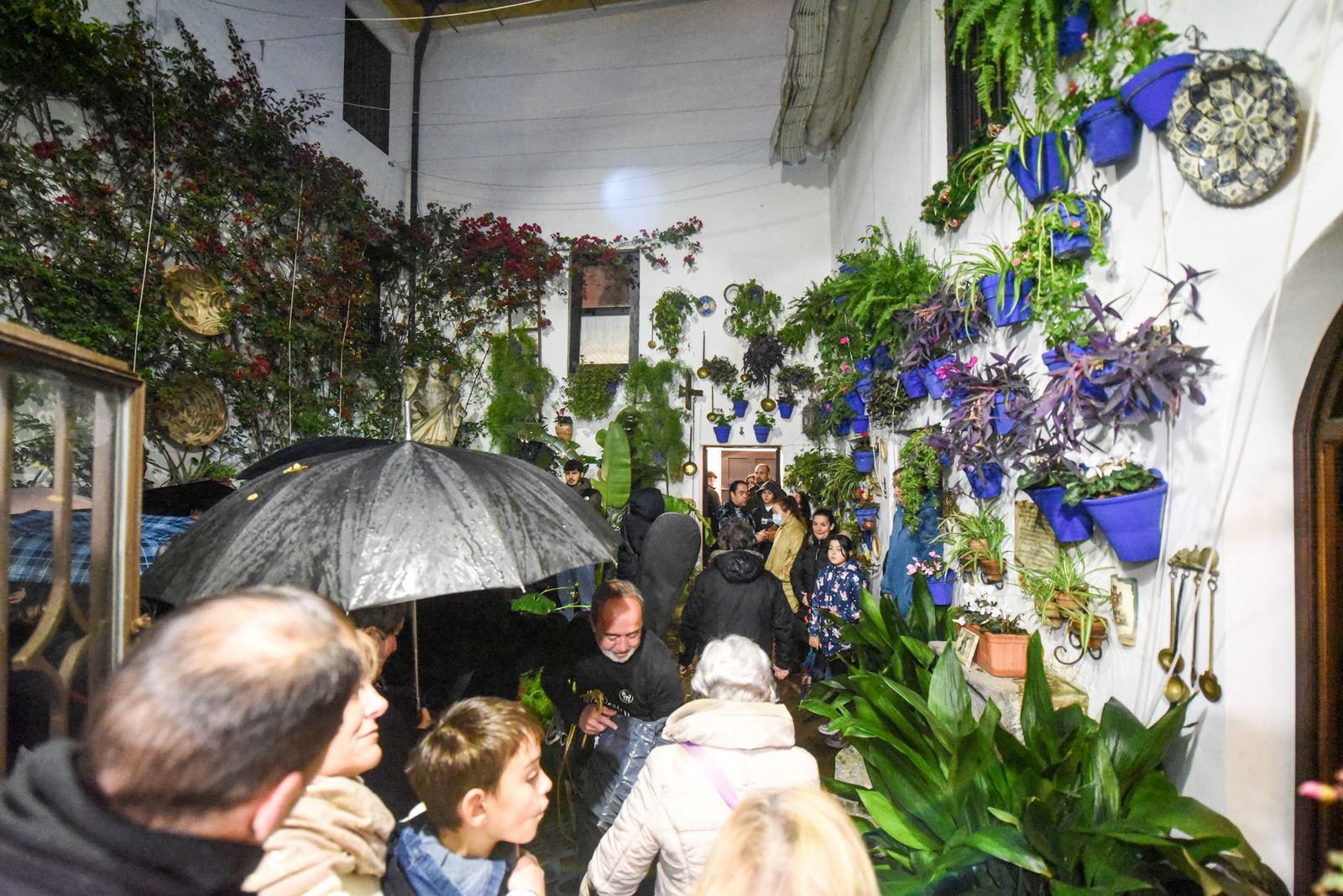 Las mejores fotos de la última jornada de la Navidad en los Patios