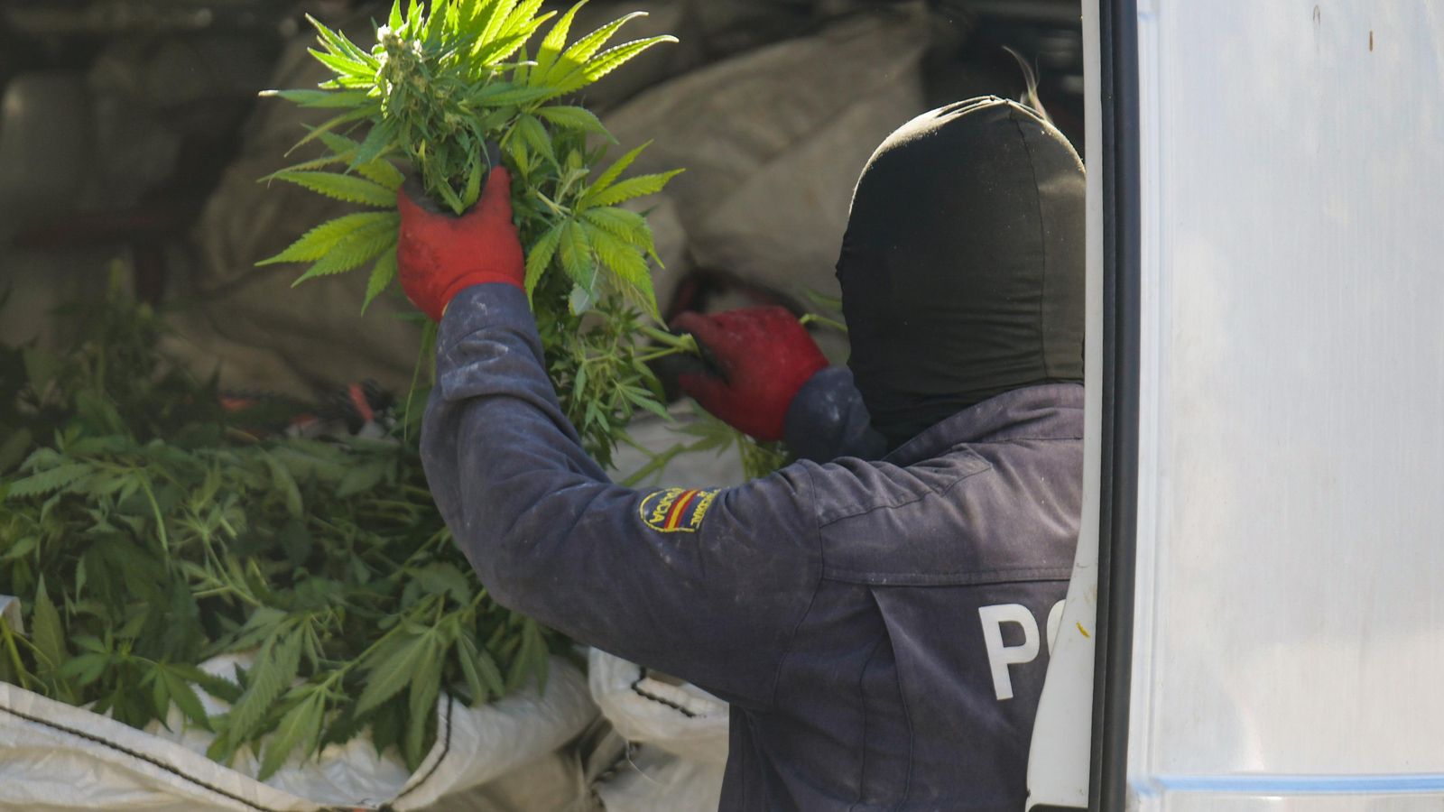 Un agente de la Policía Nacional incauta un saco de plantas de marihuana