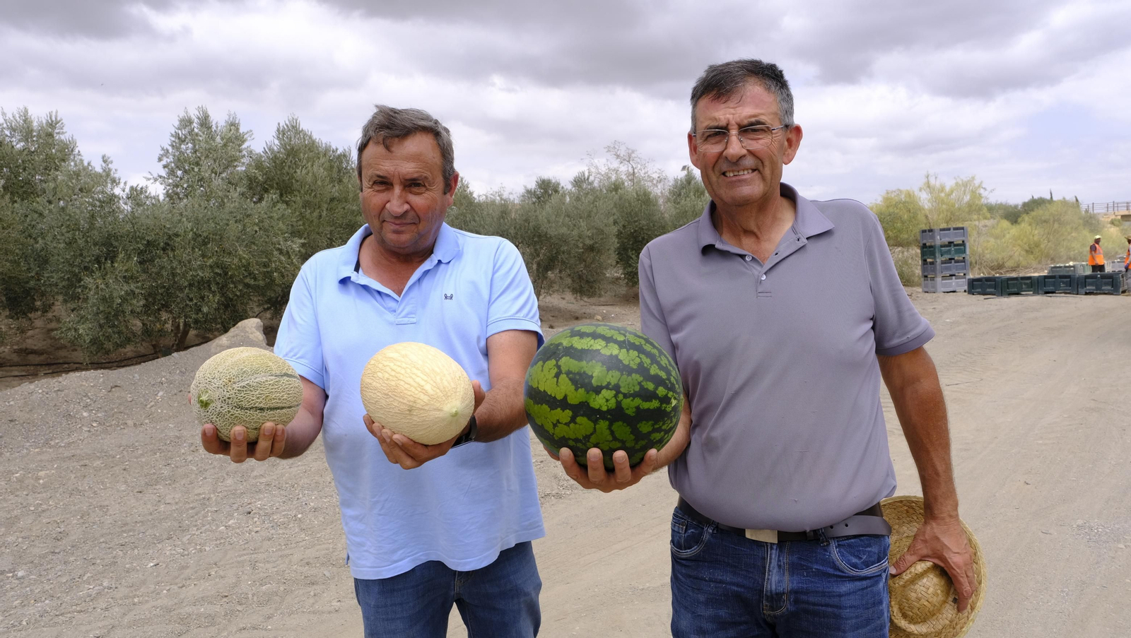 La sandía y el melón de Huércal Overa, manjares en imágenes