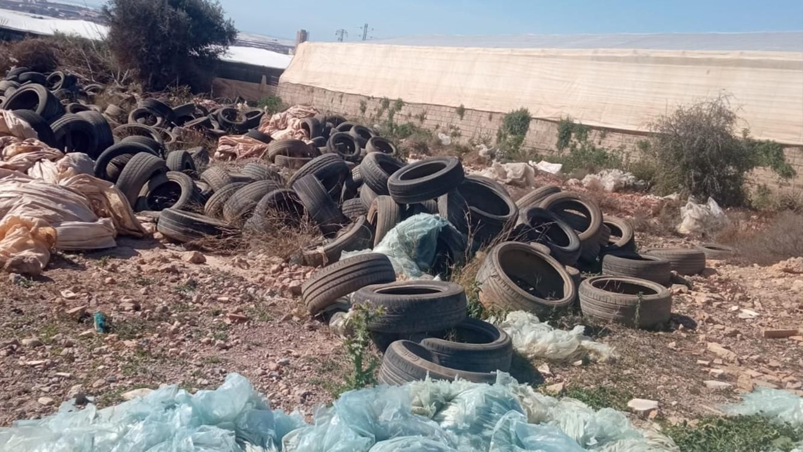 Aspecto que presenta una parte del terreno atestada de neumáticos en desuso.