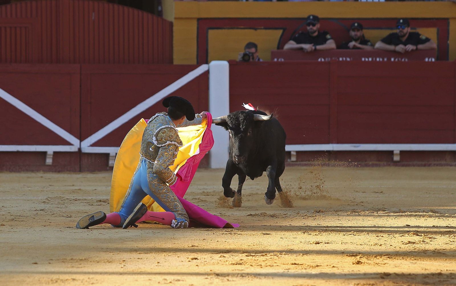 La novillada de Miguelín que abre la feria de Algeciras, en imágenes