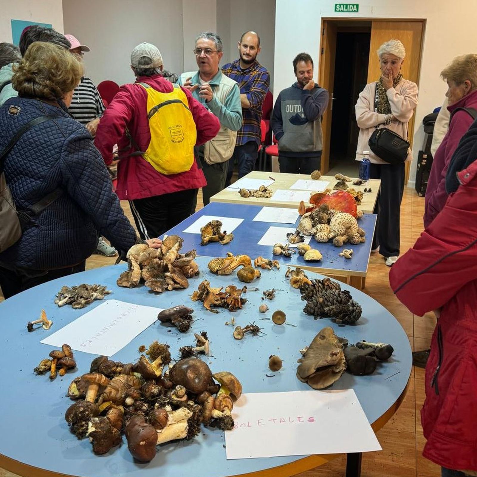 Participantes de las II Jornadas Micológicas de Bacares durante la recolección en la Sierra de Los Filabres