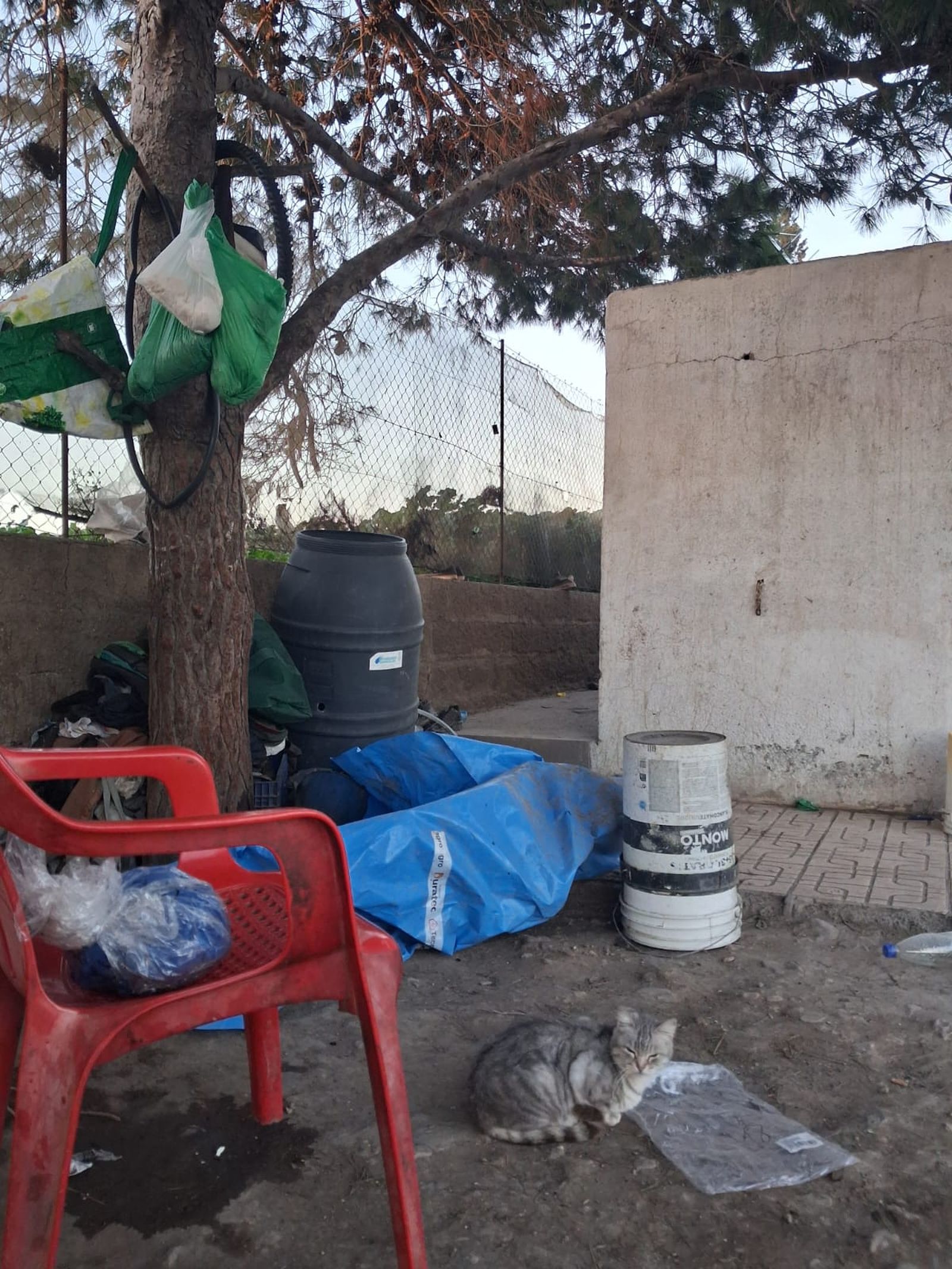 WhatsApp Image 2026-02-12 at 18.59.08