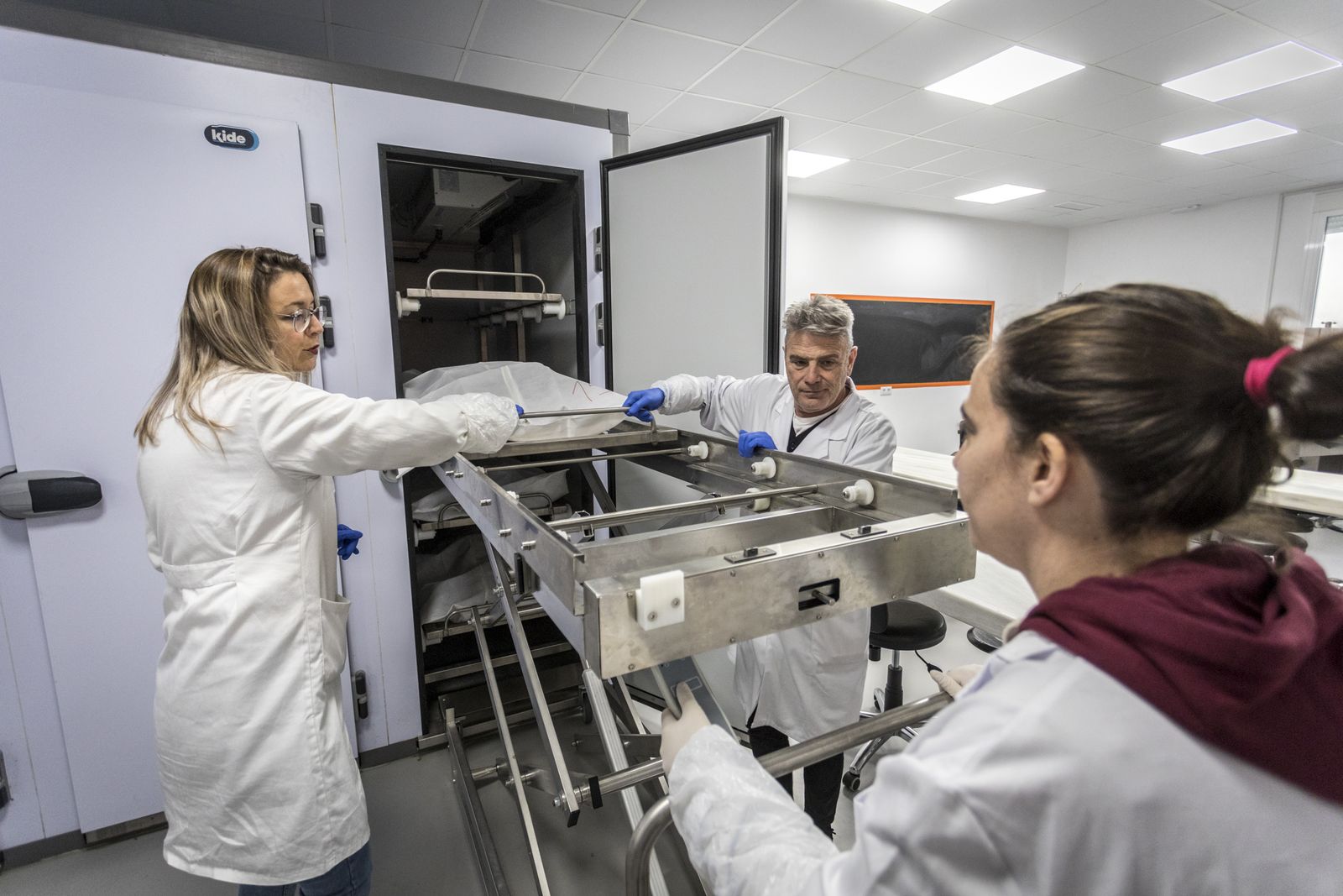 Técnicos del departamento sacando uno de los cuarpos de la cámara frigorífica, donde se conservan a 4 ºC.