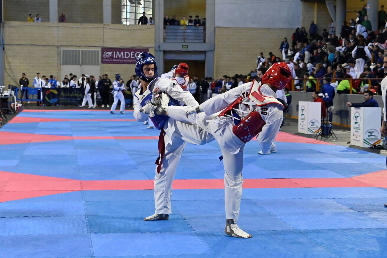 Las mejores fotos del Open Internacional de Taekwondo celebrado en Córdoba