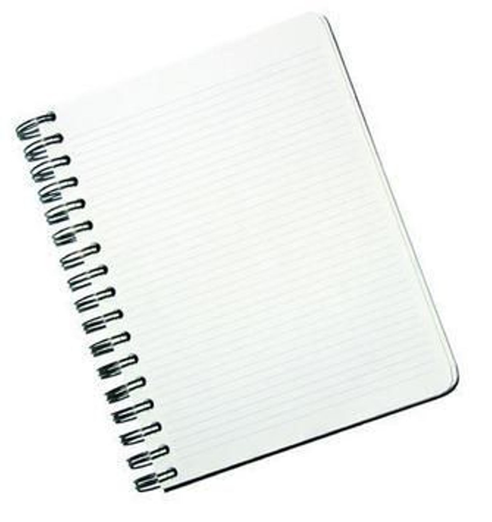 El drama escrito en una libreta