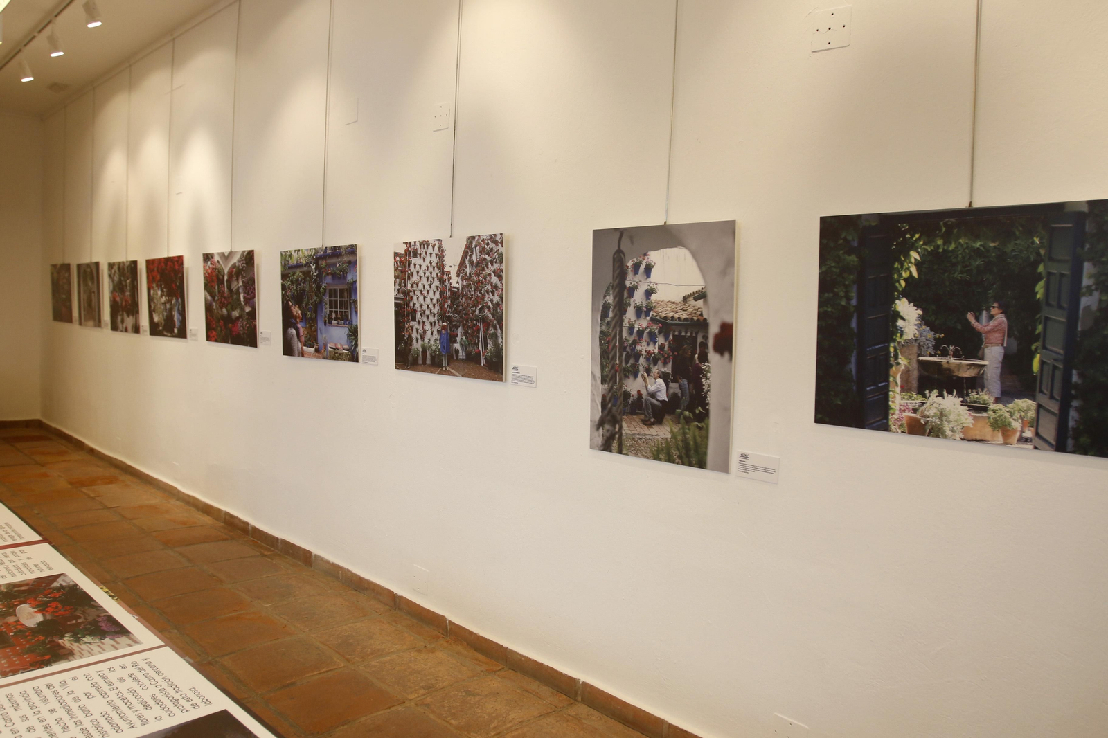 Fotografías de la exposición '20 años con los patios de Córdoba y su provincia'