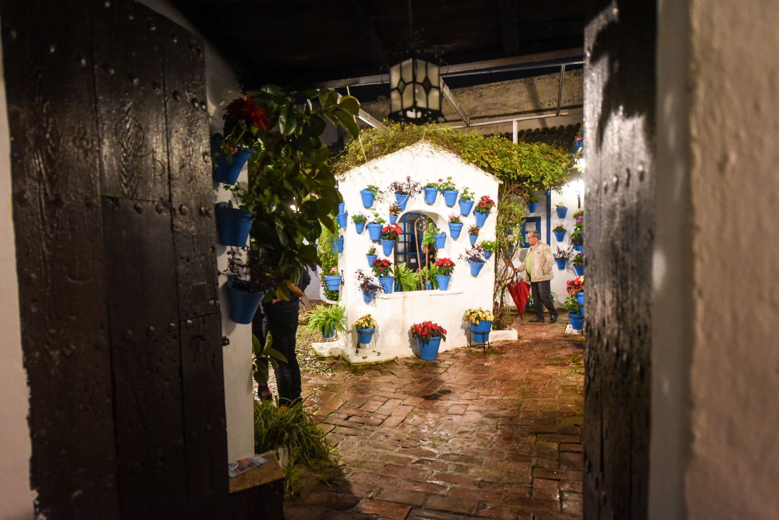 Las mejores fotos de la última jornada de la Navidad en los Patios