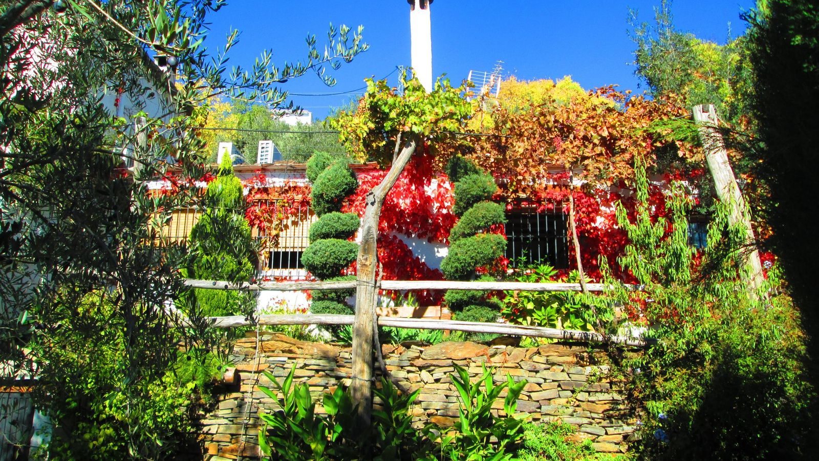 Cortijo Brazal La Ventaja