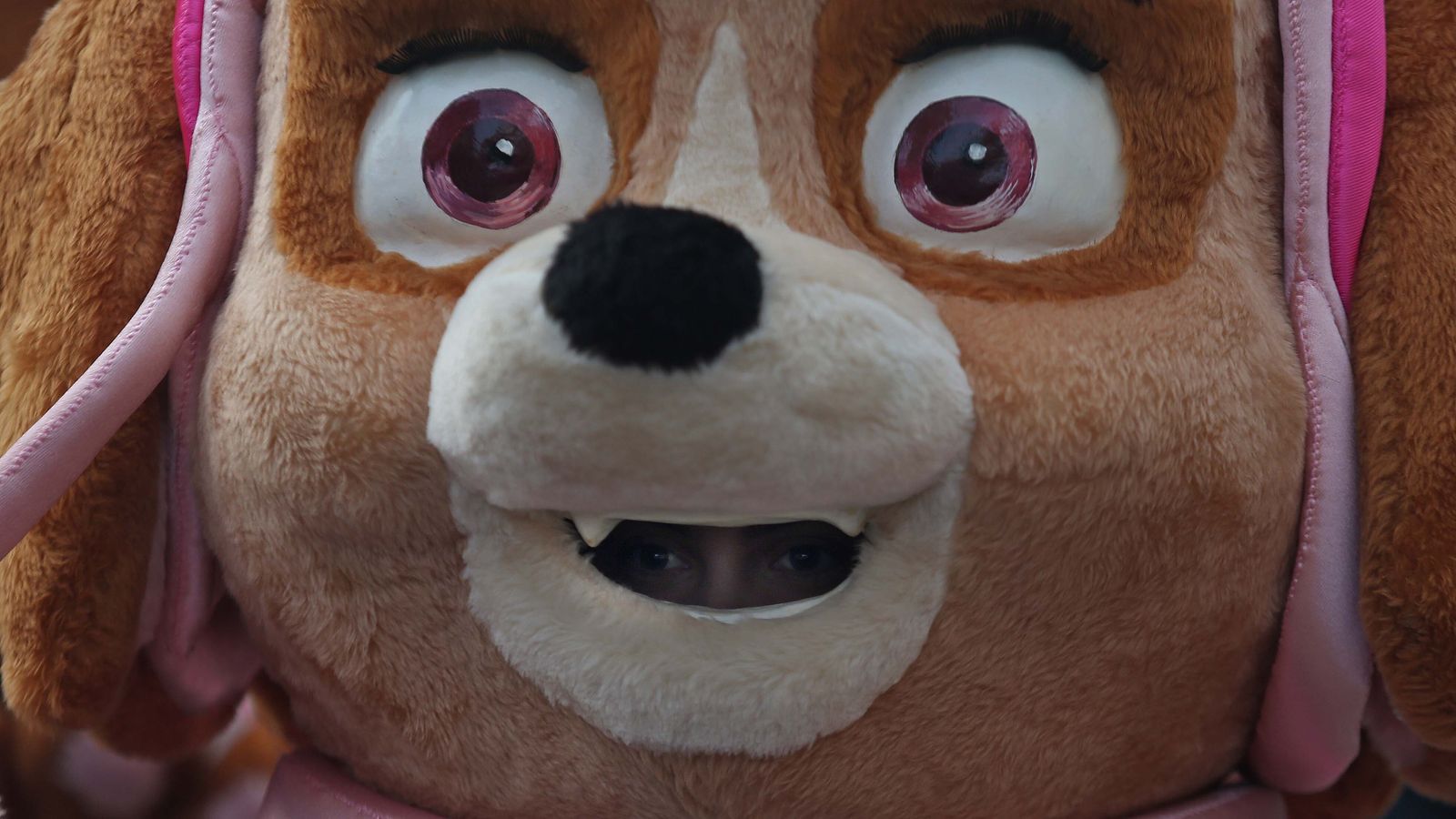 Fotos de la cabalgata de los Reyes Magos en Algeciras