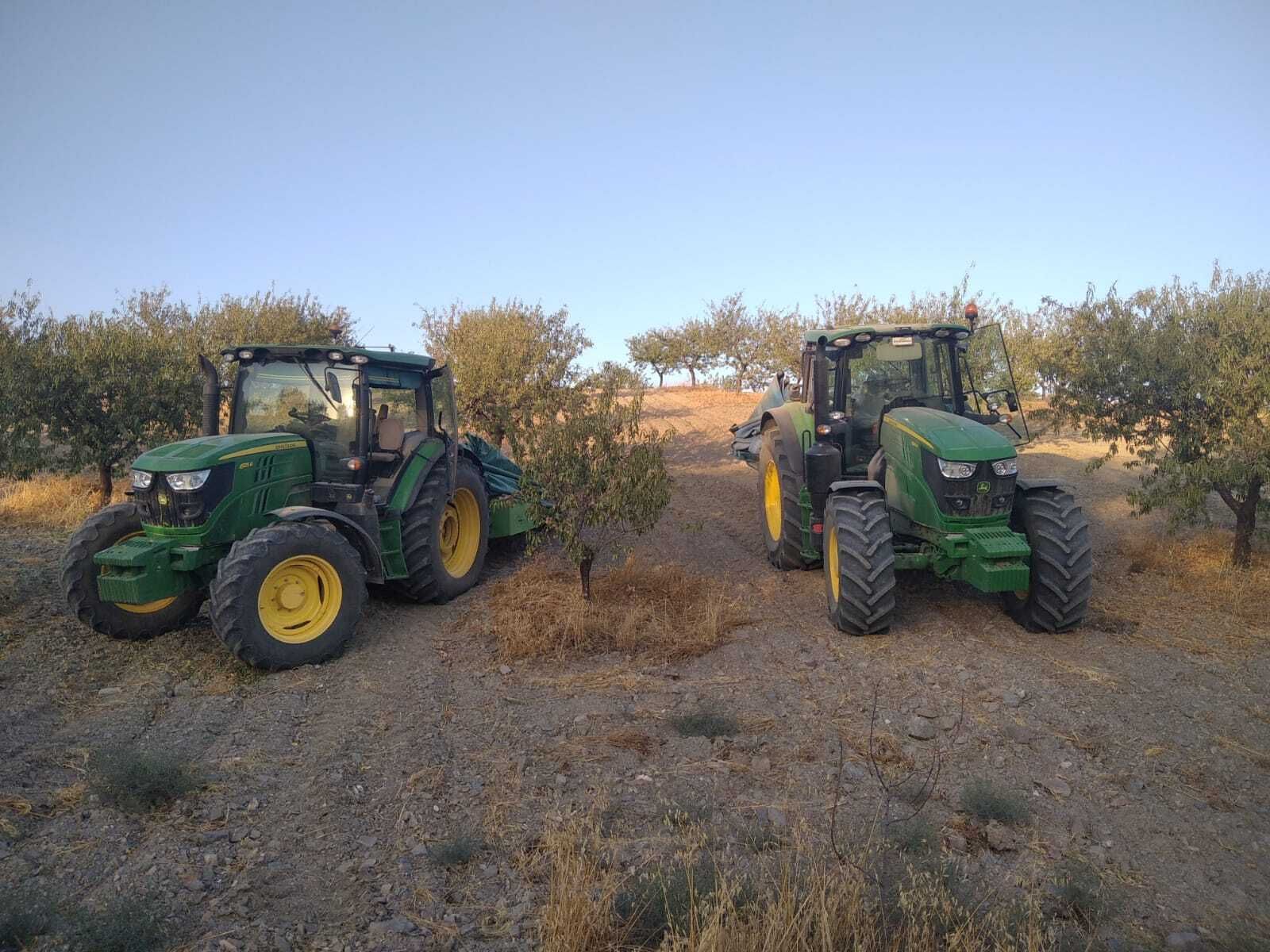 Ya se ha iniciado la recolecta de almendra en la provincia almeriense