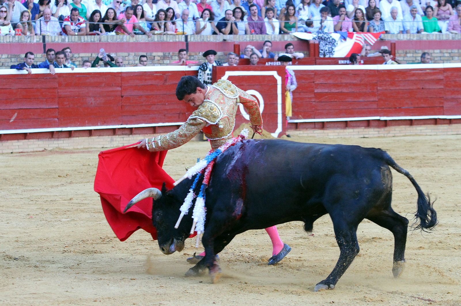 Imágenes de la Novillada de Rafael Serna, Emilio Silvera y Rodrigo Molina.