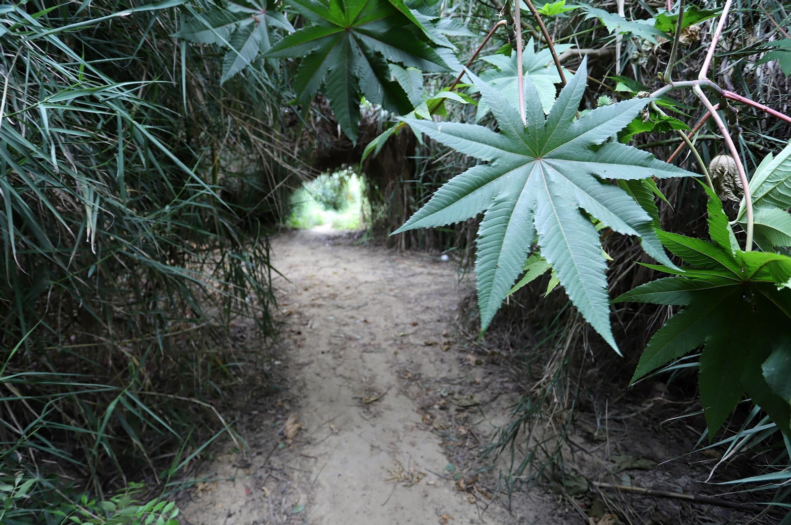 Imágenes del estado de abandono en el que se encuentra la Fuente Vieja y su entorno
