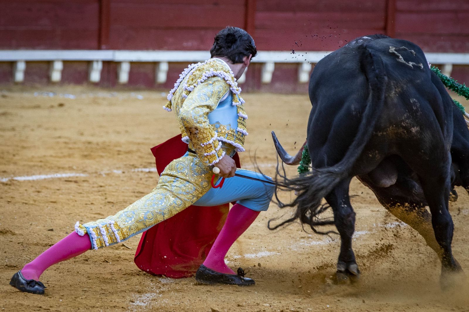 Daniel Crespo, Manzanares y Juan Ortega, en la plaza de toros de El Puerto