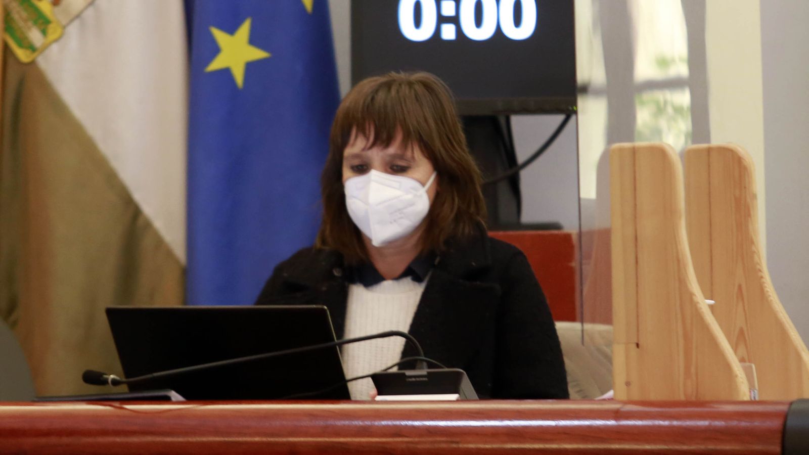 La delegada de Economía, Laura Álvarez, durante un pleno.