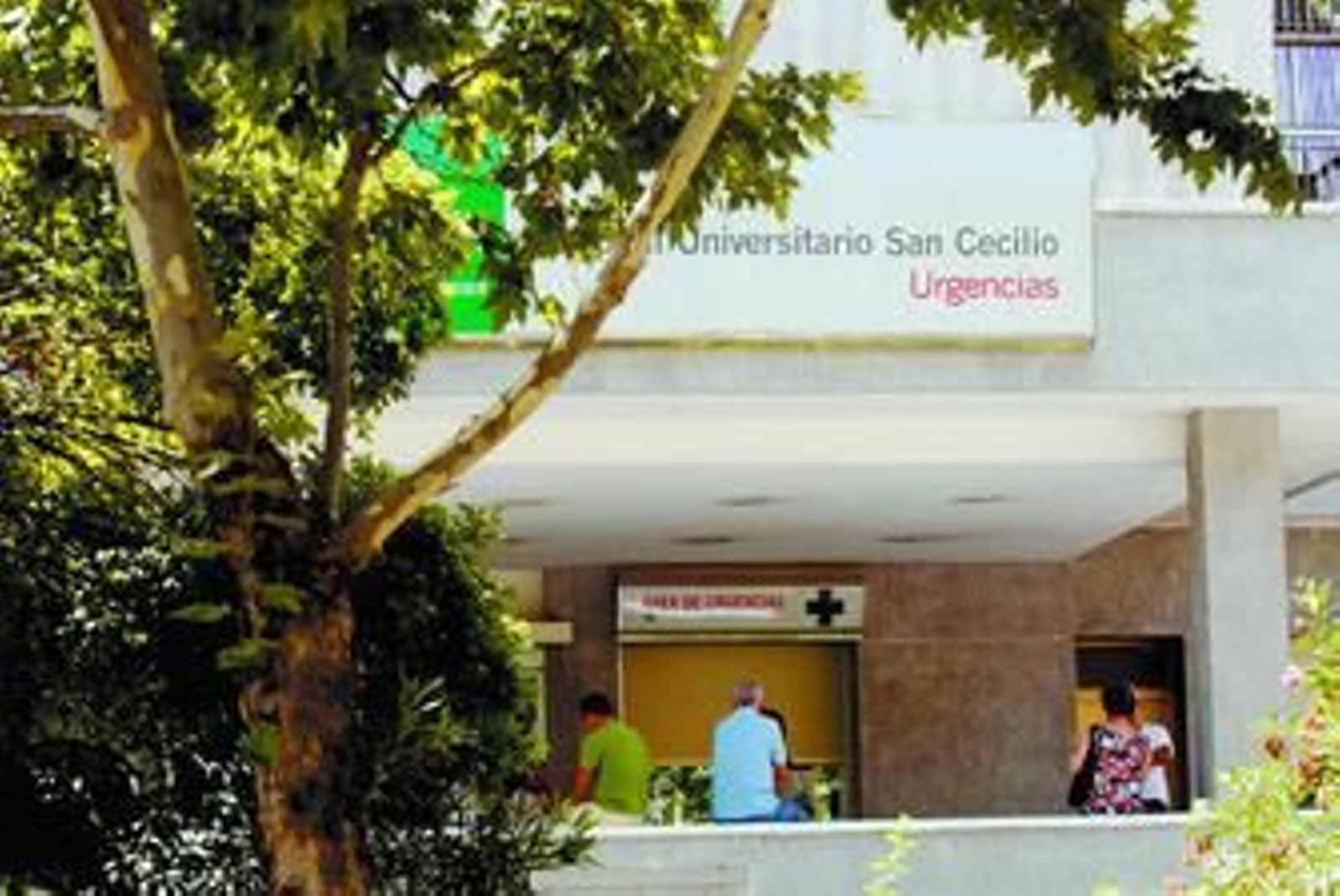 Muere en Granada por gripe A una joven que sufría obesidad mórbida