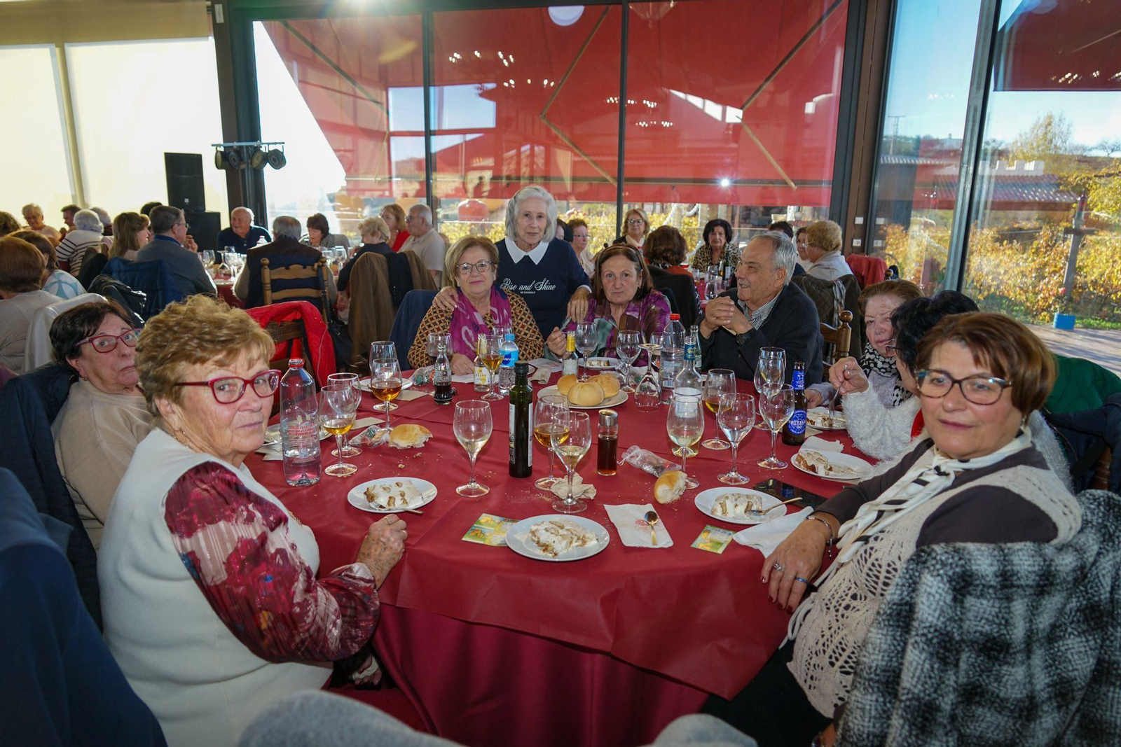 300 mayores de Vícar celebran las fiestas por todo lo alto en la Bodega Cuatro Vientos de Murta