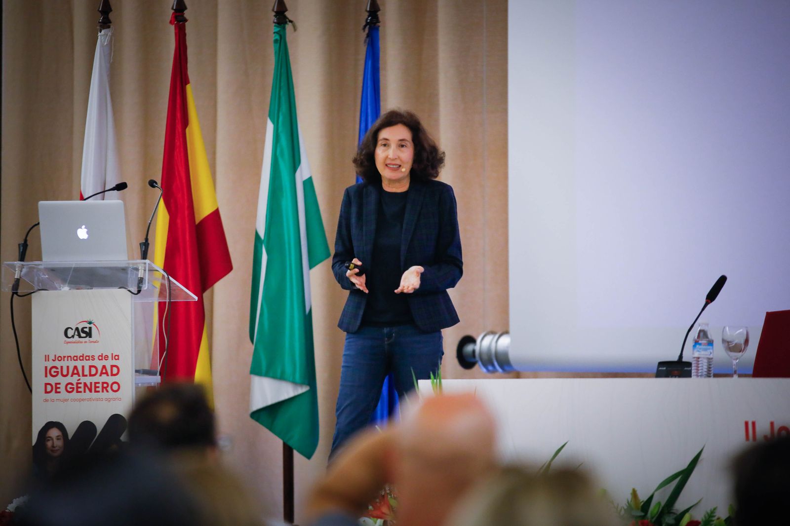 II jornadas de la igualdad CASI