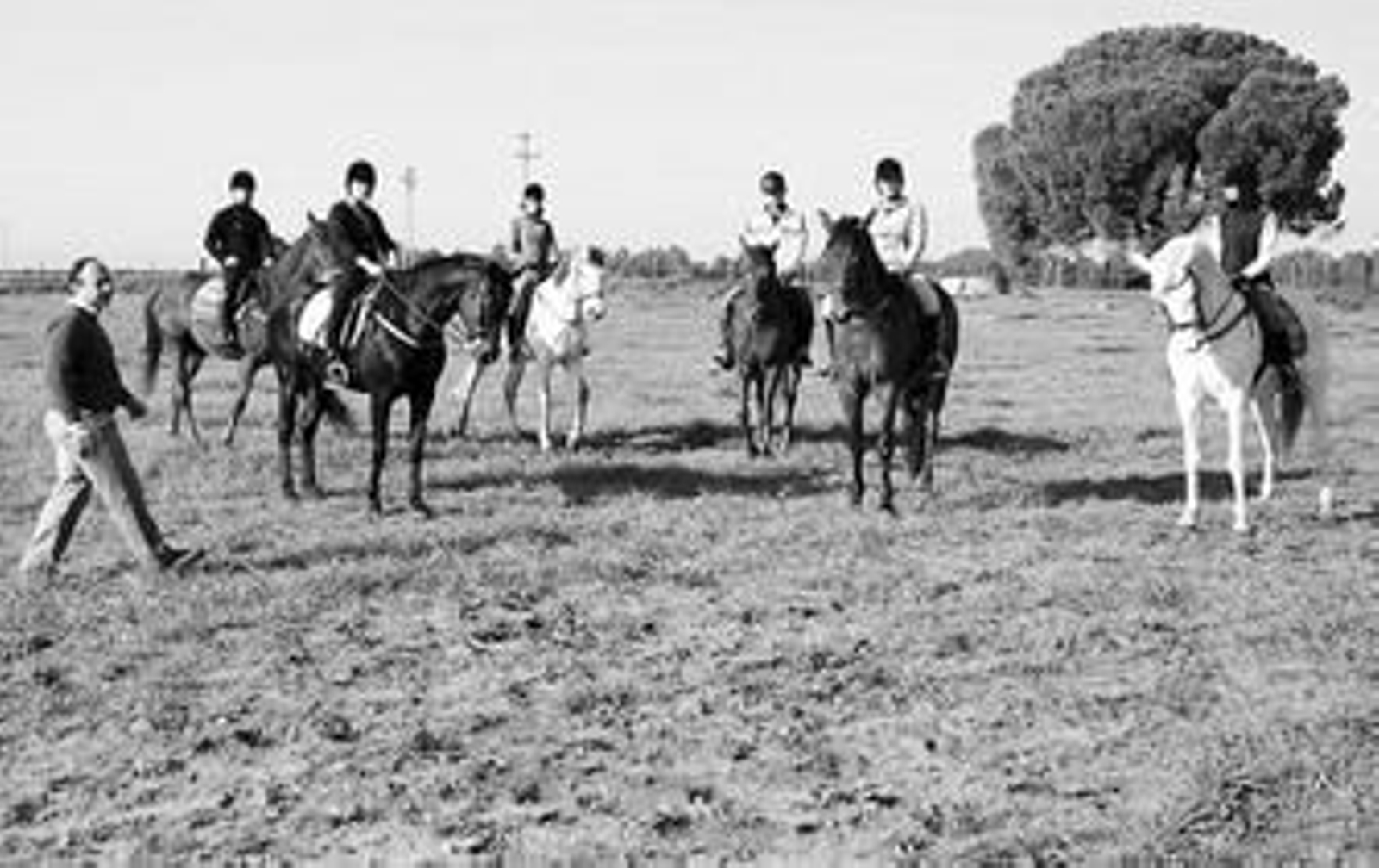 Imagen de una ruta ecuestre, actividad que pretende impulsar ahora la Federación Hípica Española.