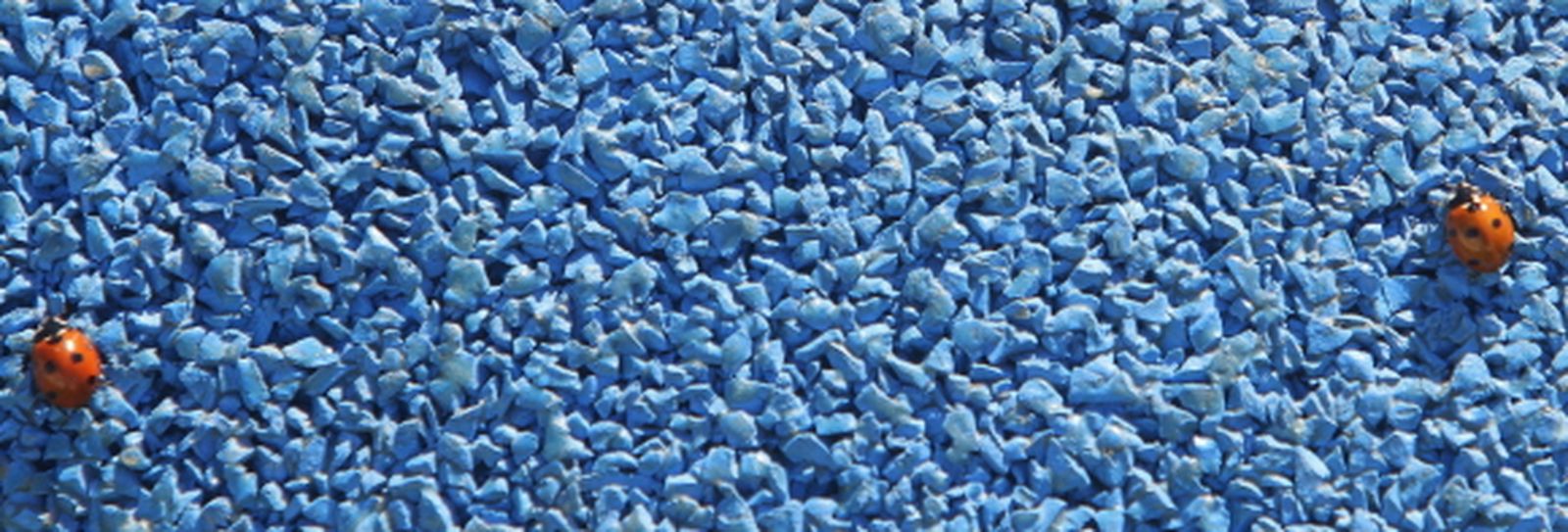 Una explosión de vida en primavera