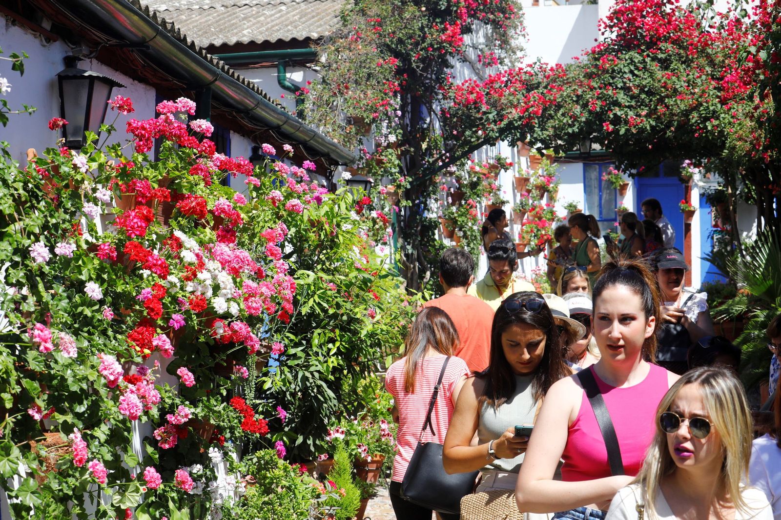 Las colas en el último sábado de Patios de Córdoba, en imágenes