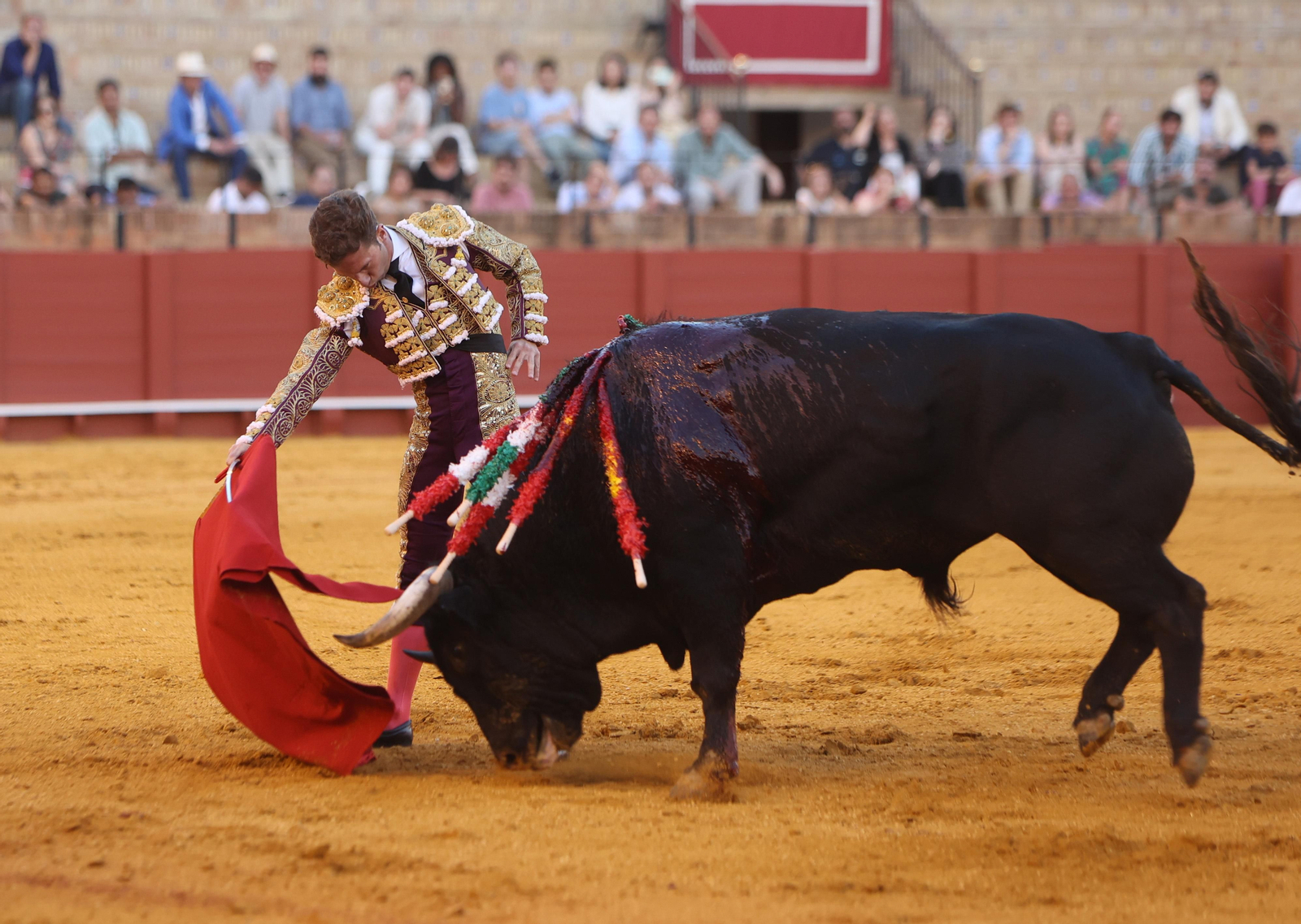 Las mejores imágenes de la corrida de hoy