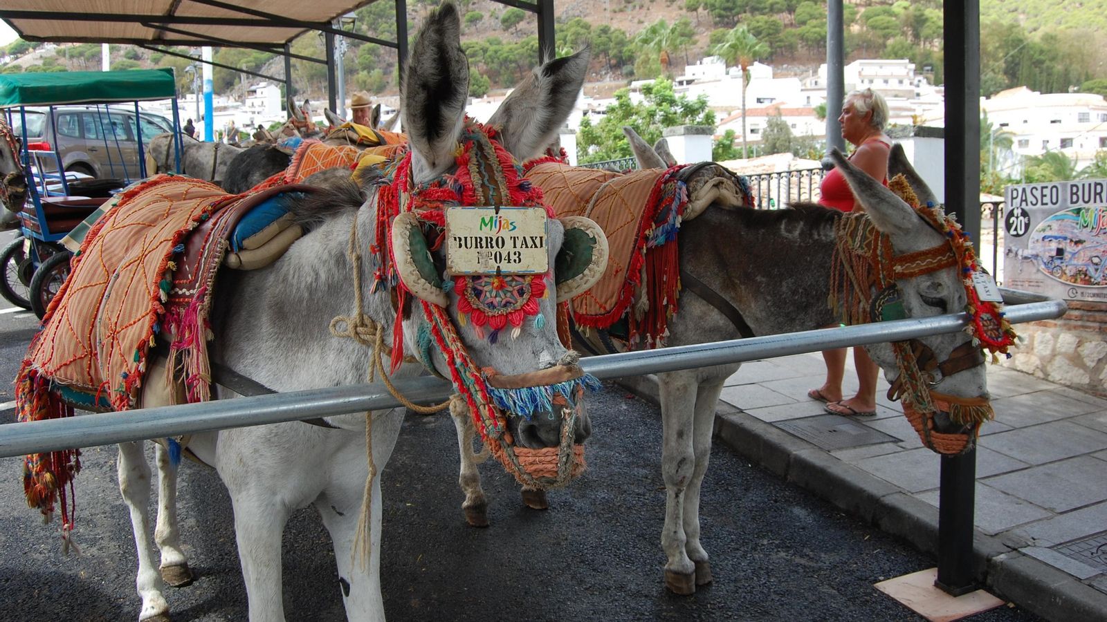 Varios burros-taxi en una parada del servicio. Varios burros-taxi en una parada del servicio.