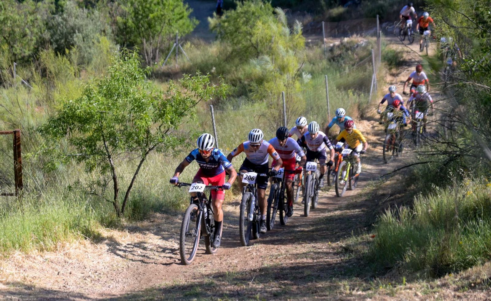 La cita espera congregar a lo más granado de la especialidad.