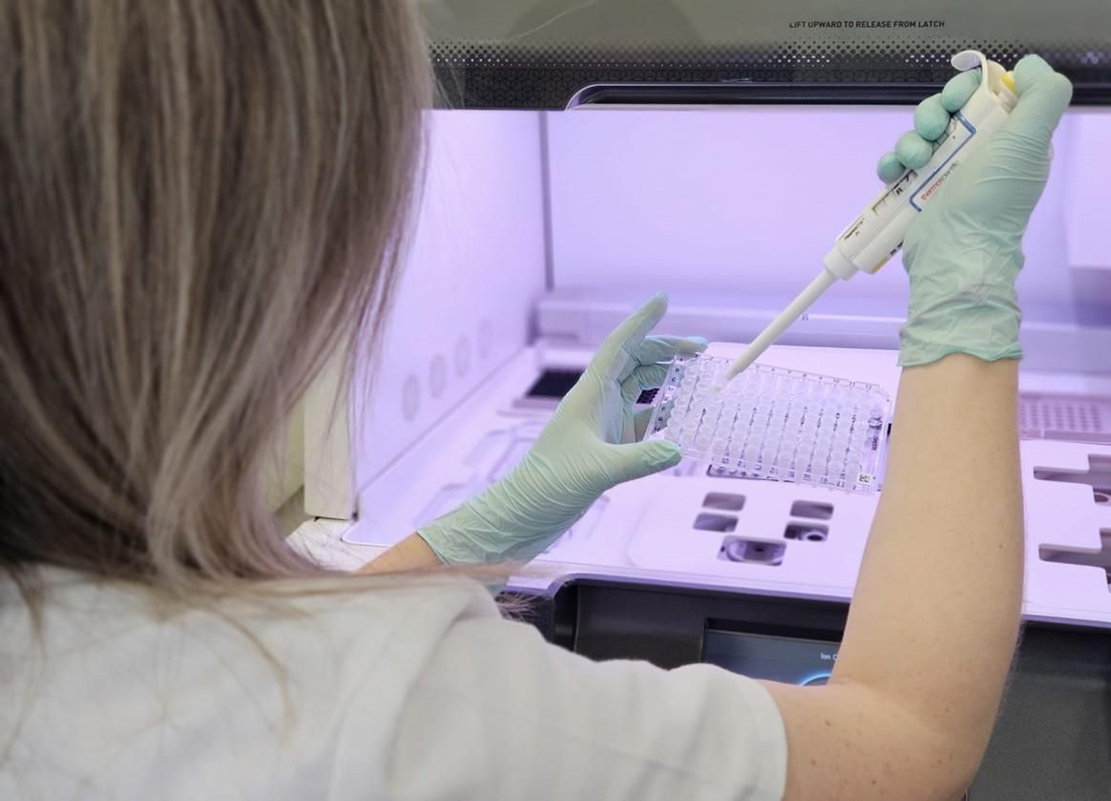 Una sanitaria en laboratorio.