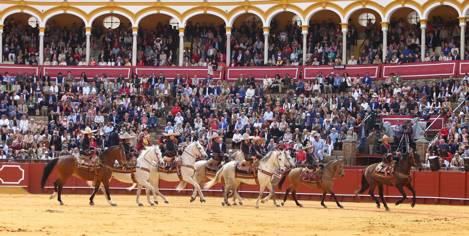 XXXIII Exhibición del Real Club de Enganches de Andalucía en la Maestranza
