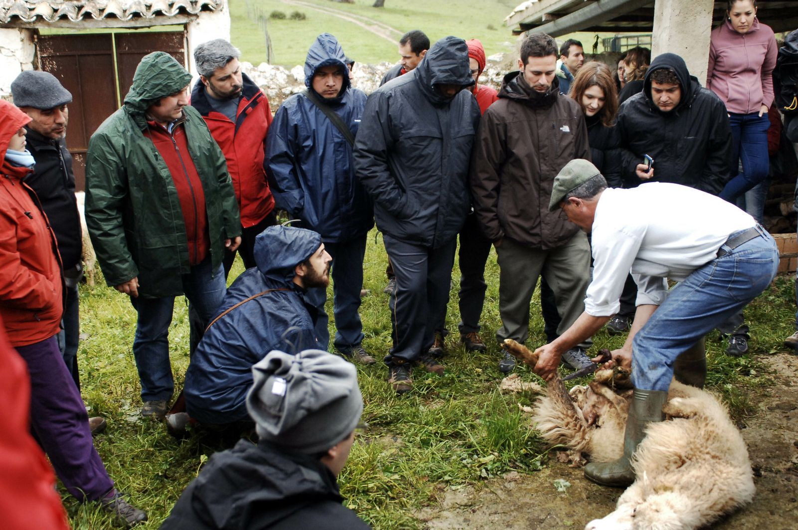 Alumnos de una edición anterior asisten a una clase de esquilado.