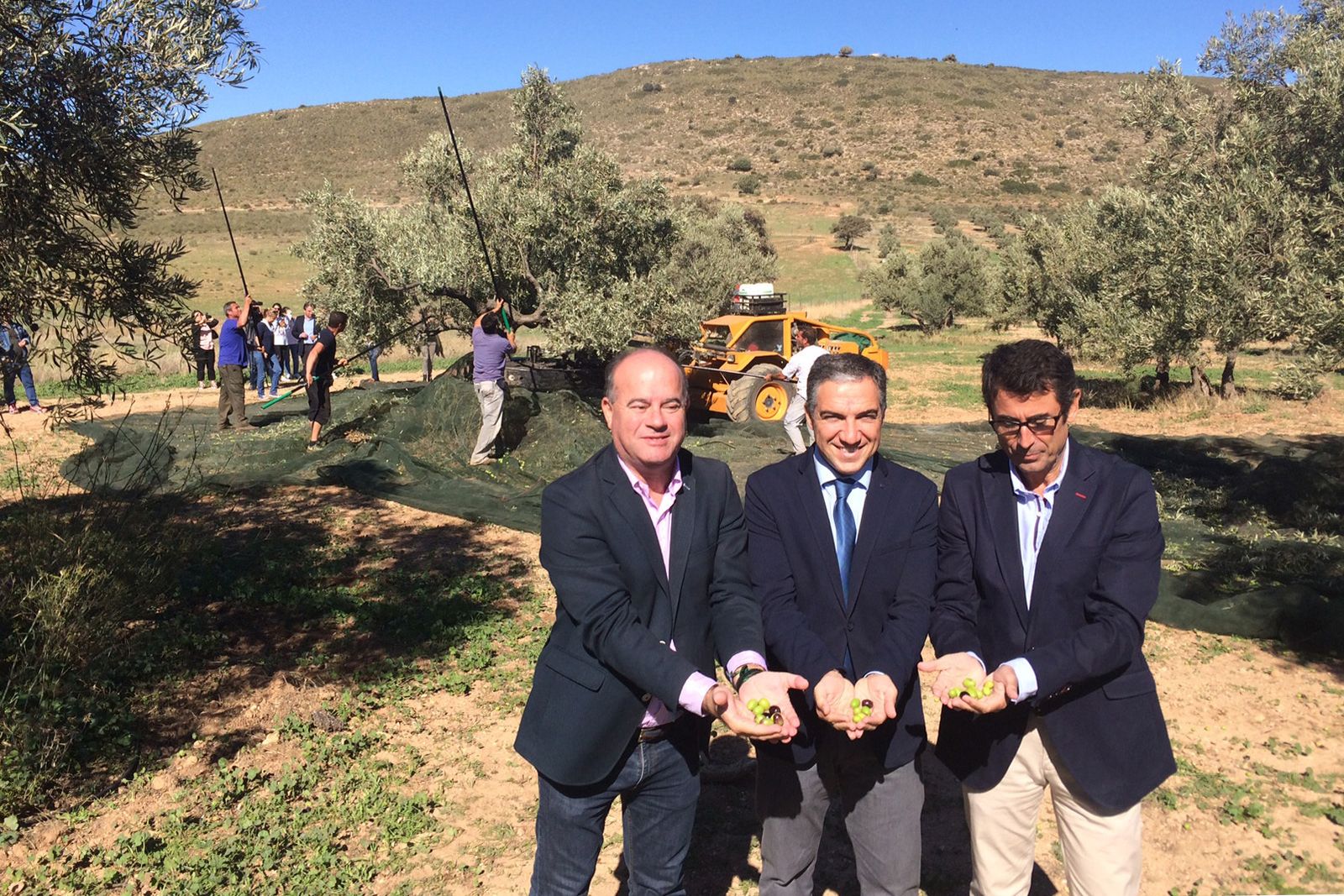 El alcalde de Antequera, el presidente de la Diputación y el alcalde de Coín asistieron el inicio de la cosecha.