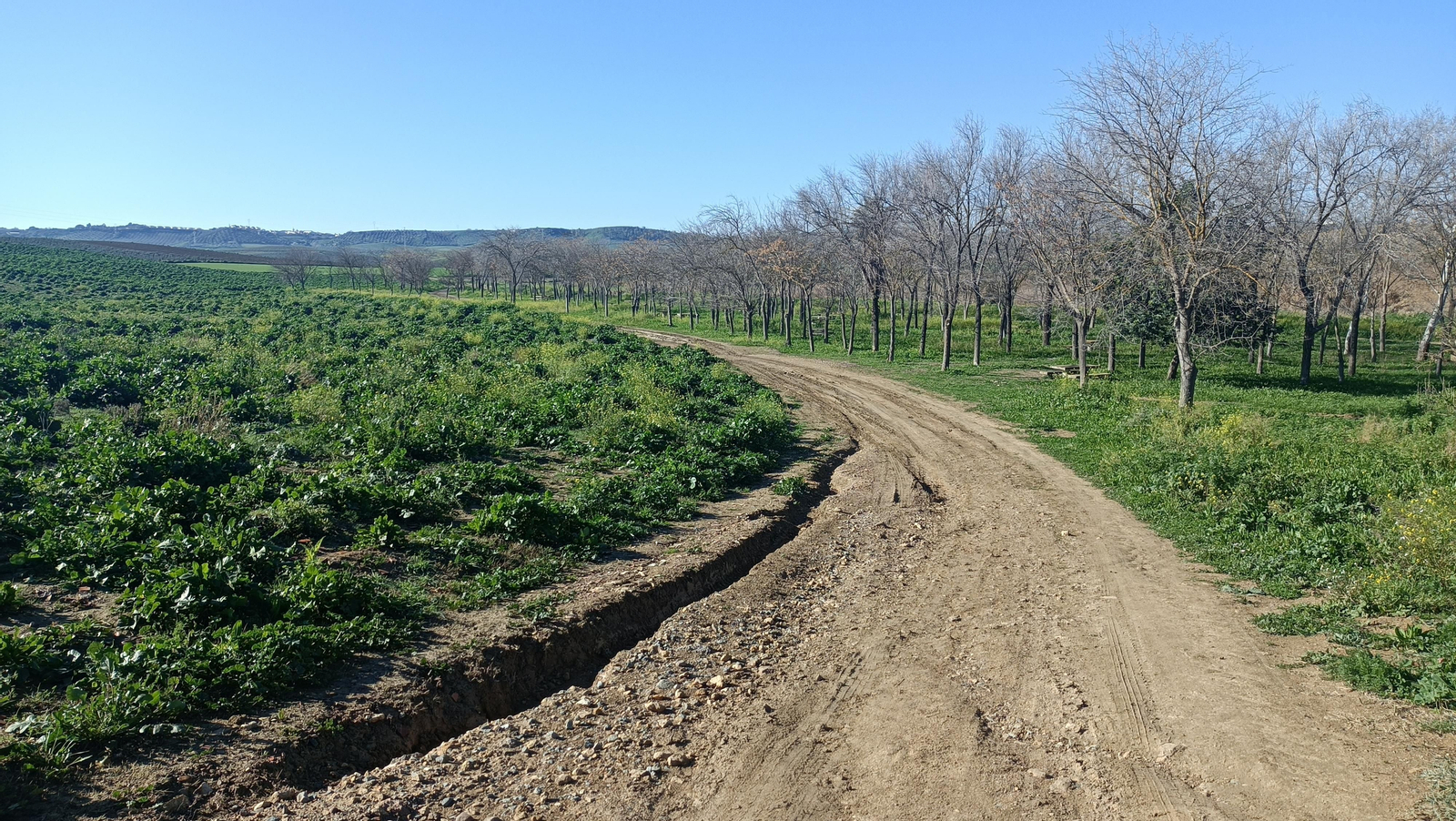 Doblamos a la izquierda y pasamos junto a un merendero.