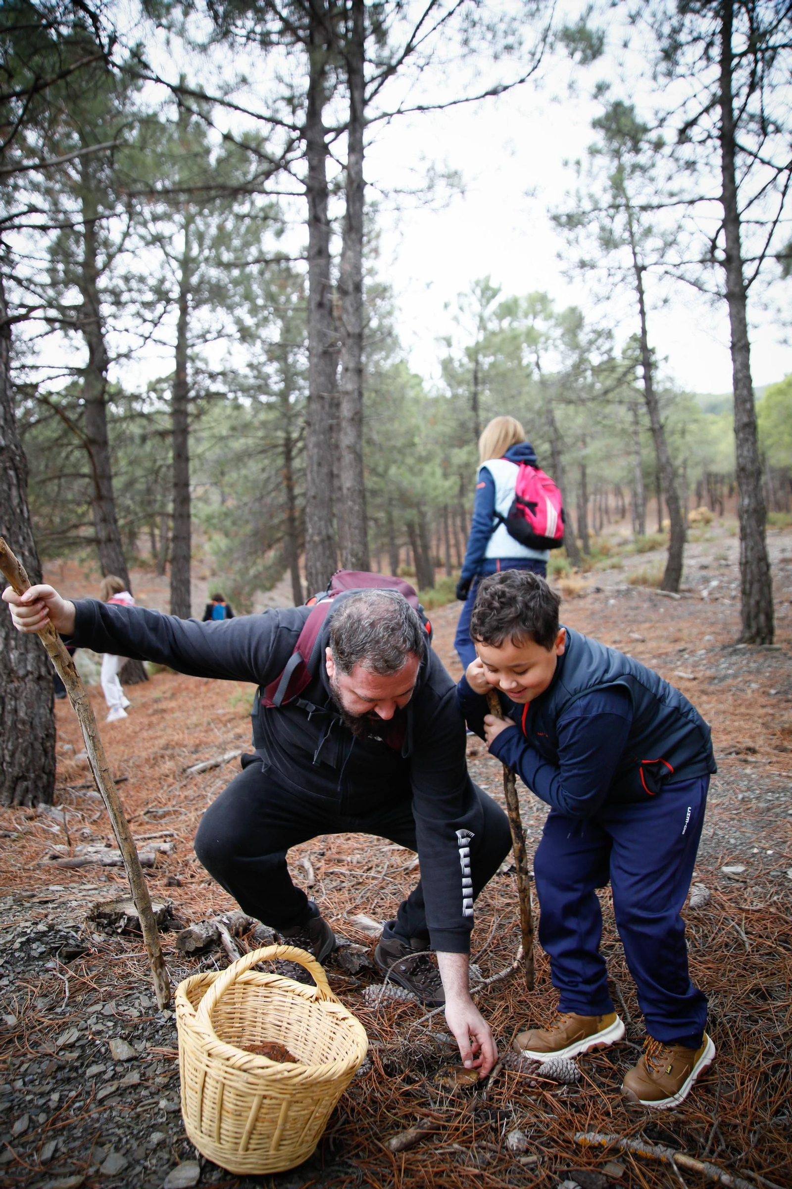 La ruta recolectora de setas en Abla por las XIX Jornadas Micológicas, en imágenes