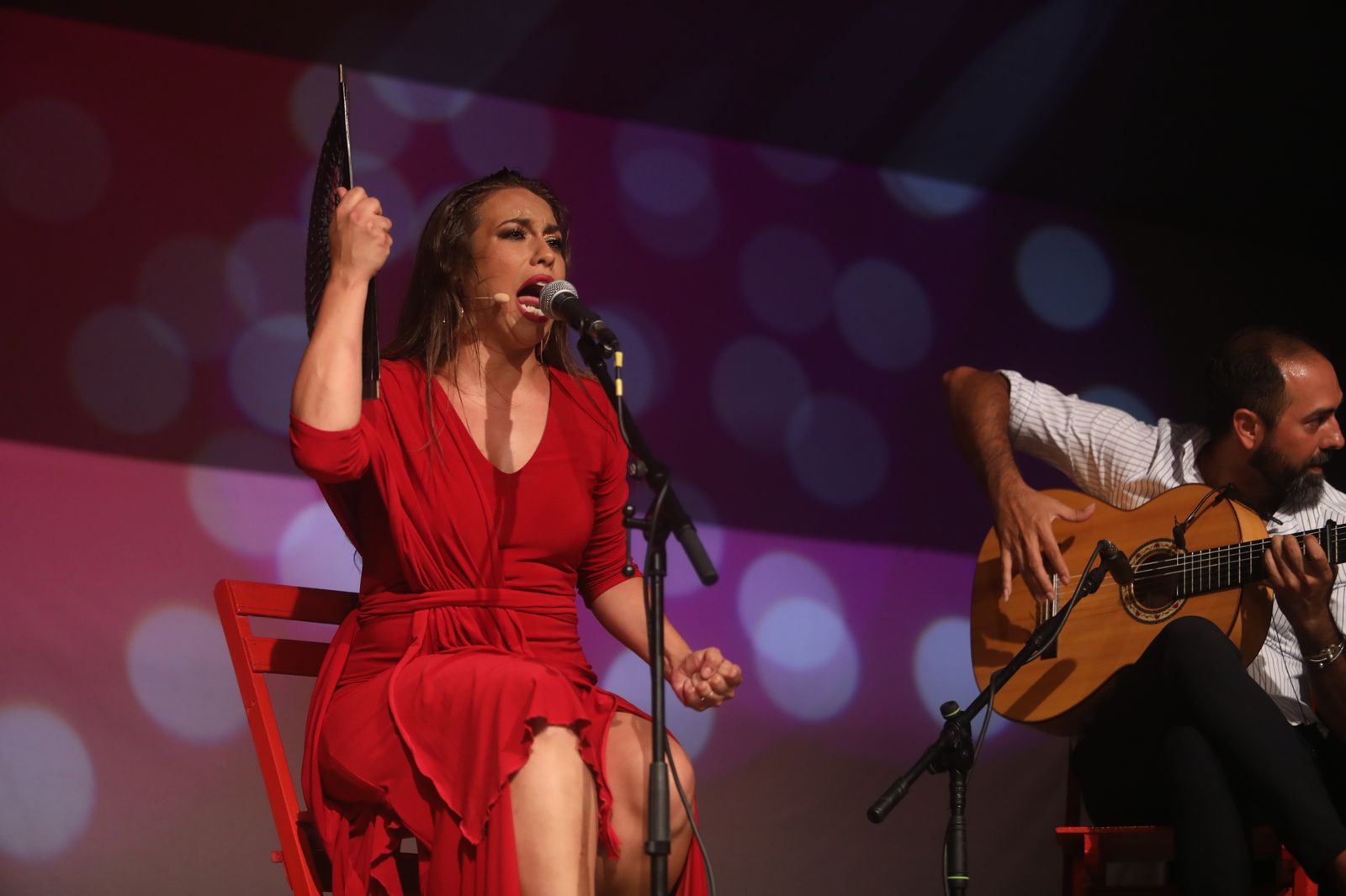 La noche flamenca en el Parque de San Fernando, en imágenes