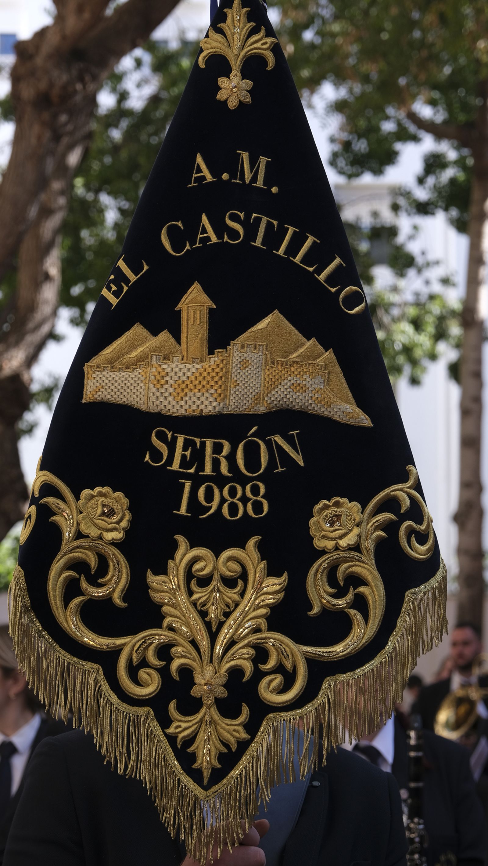 Fotogalería de la procesión de La Borriquita en Almería. Semana Santa 2022.