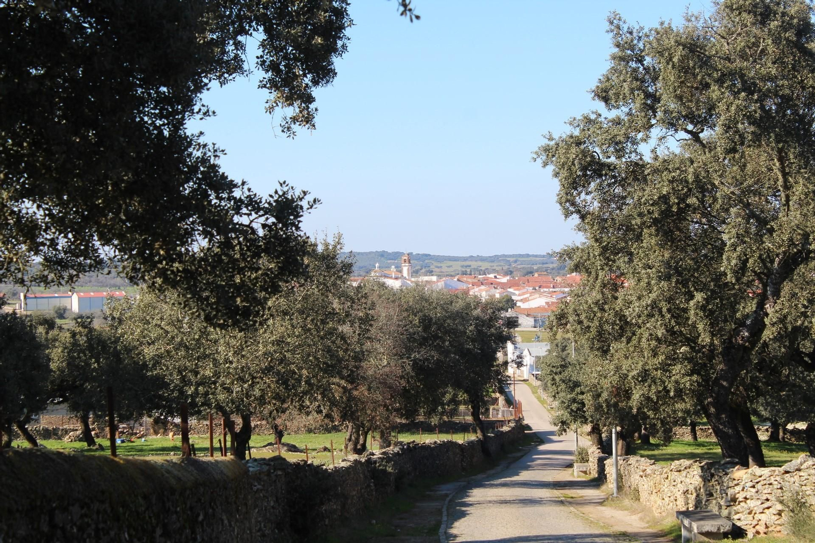 Bodonal de la Sierra