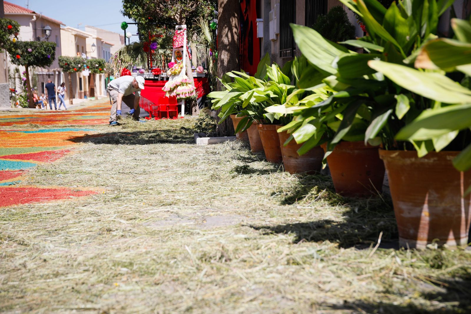 Así es la gran alfombra de serrín para que levite la Virgen de Fátima de Tíjola