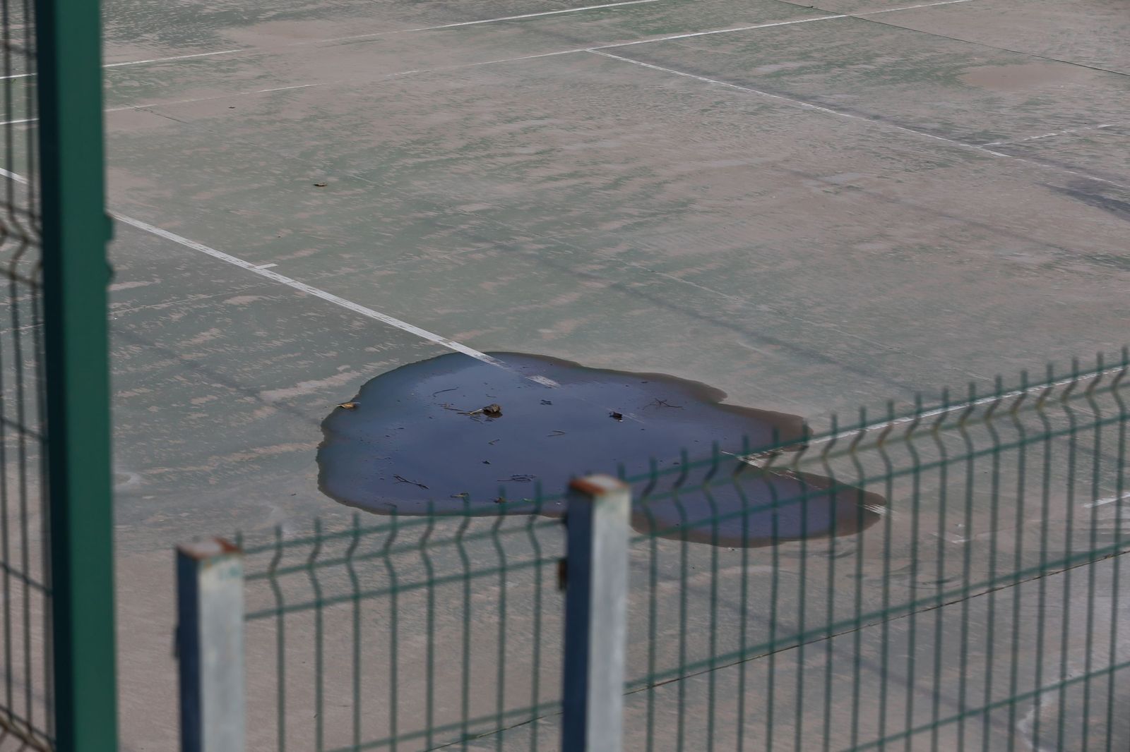 Fotos de las consecuencias de la borrasca Francis en Tesorillo y Jimena