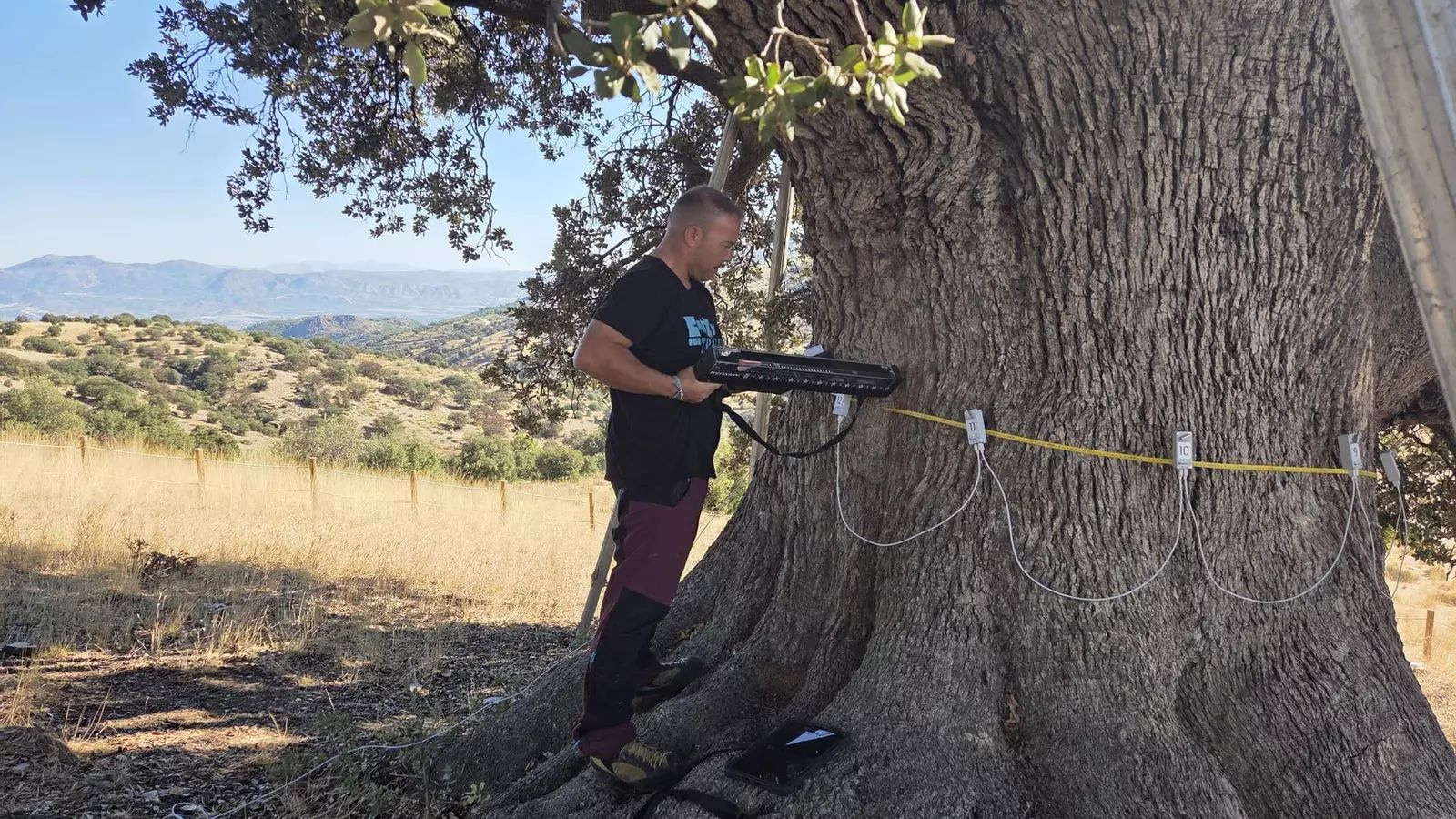 La Consejería de Medio Ambiente no cesa en su empeño de cuidar a la Peana de Serón.