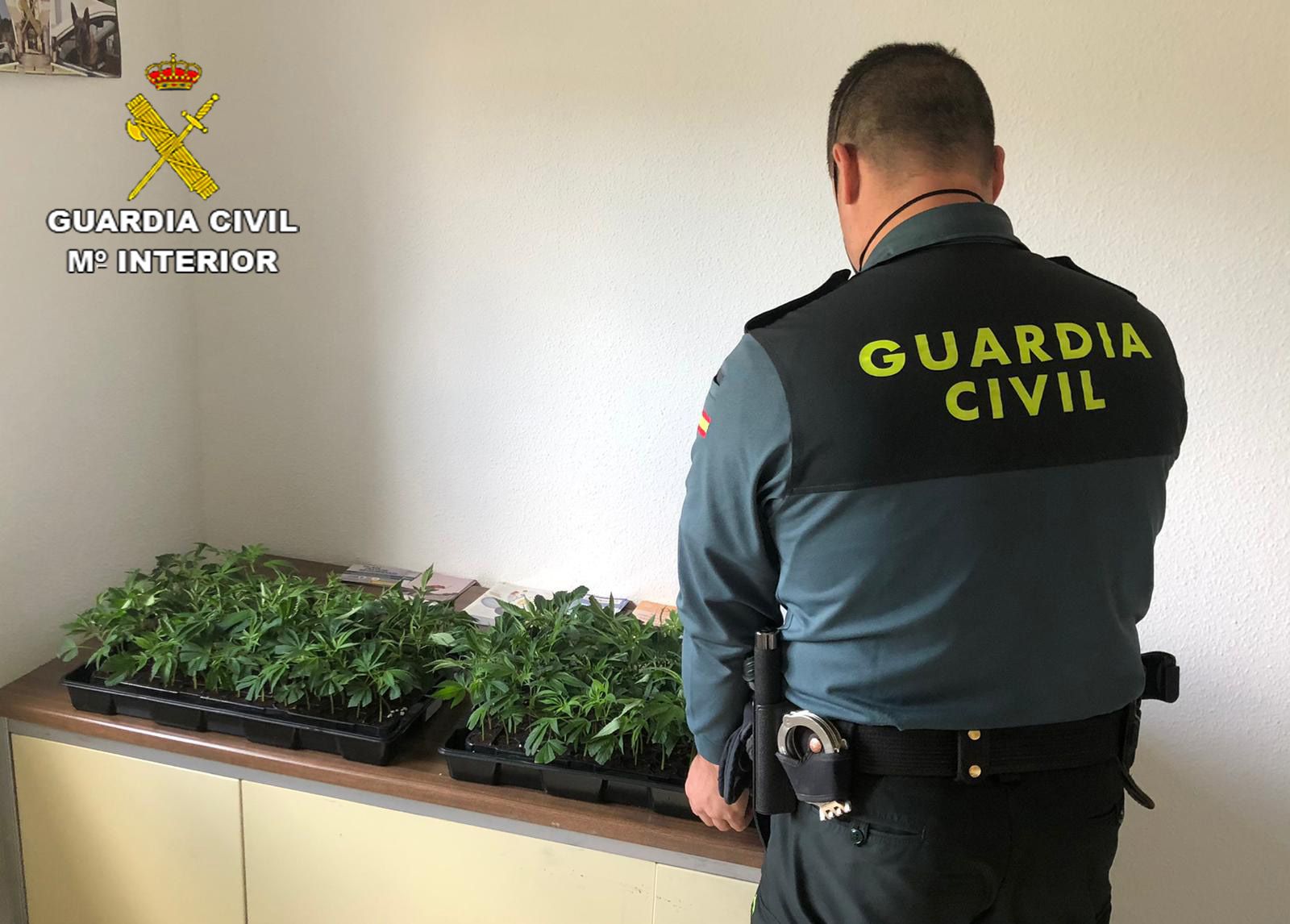 Un agente de la Guardia Civil con las plantas incahutadas.