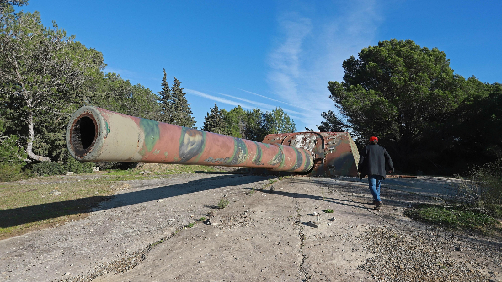 Las mejores fotos de Paloma Alta