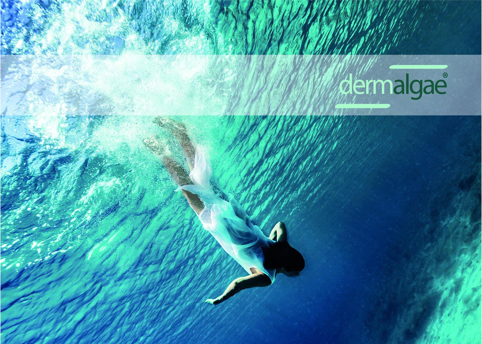 El plancton  marino, un producto natural cien por cien saludable para la piel