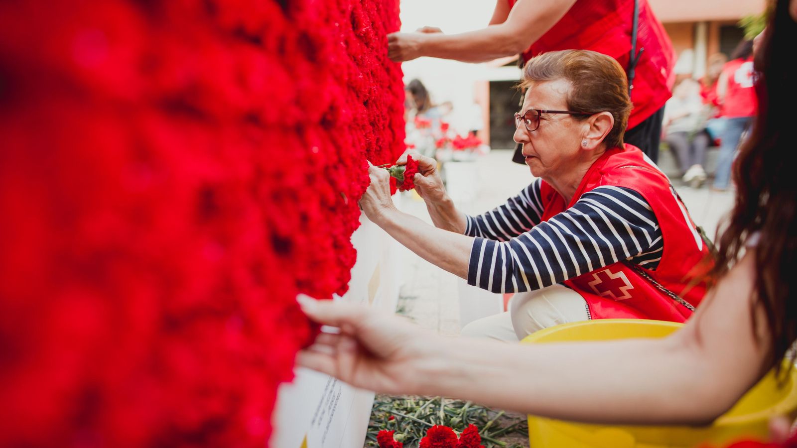 Un mujer coloca un clavel un panel