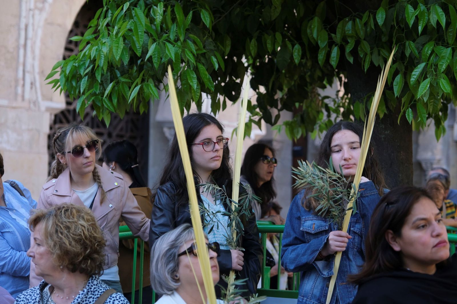Domingo de Ramos en Córdoba 2023: la misa de la bendición de las palmas en la Catedral, en imágenes