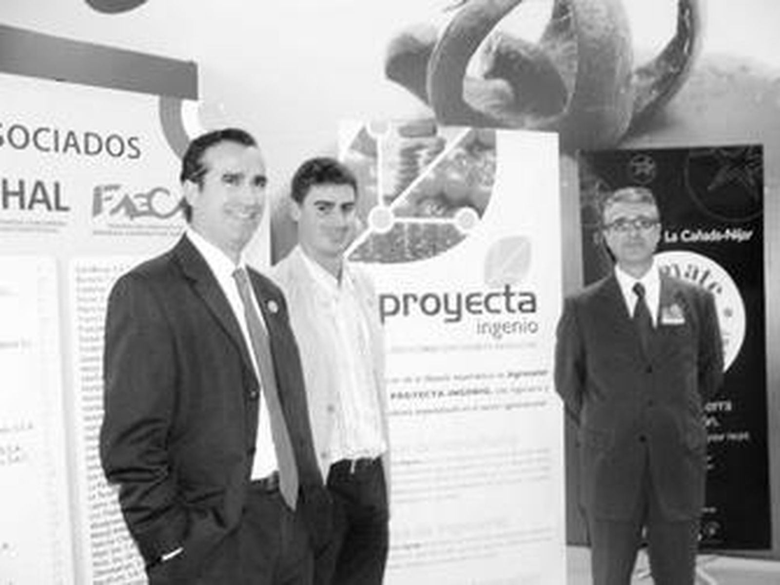 Proyecta Ingenio, servicios de consultoría e ingeniería agraria