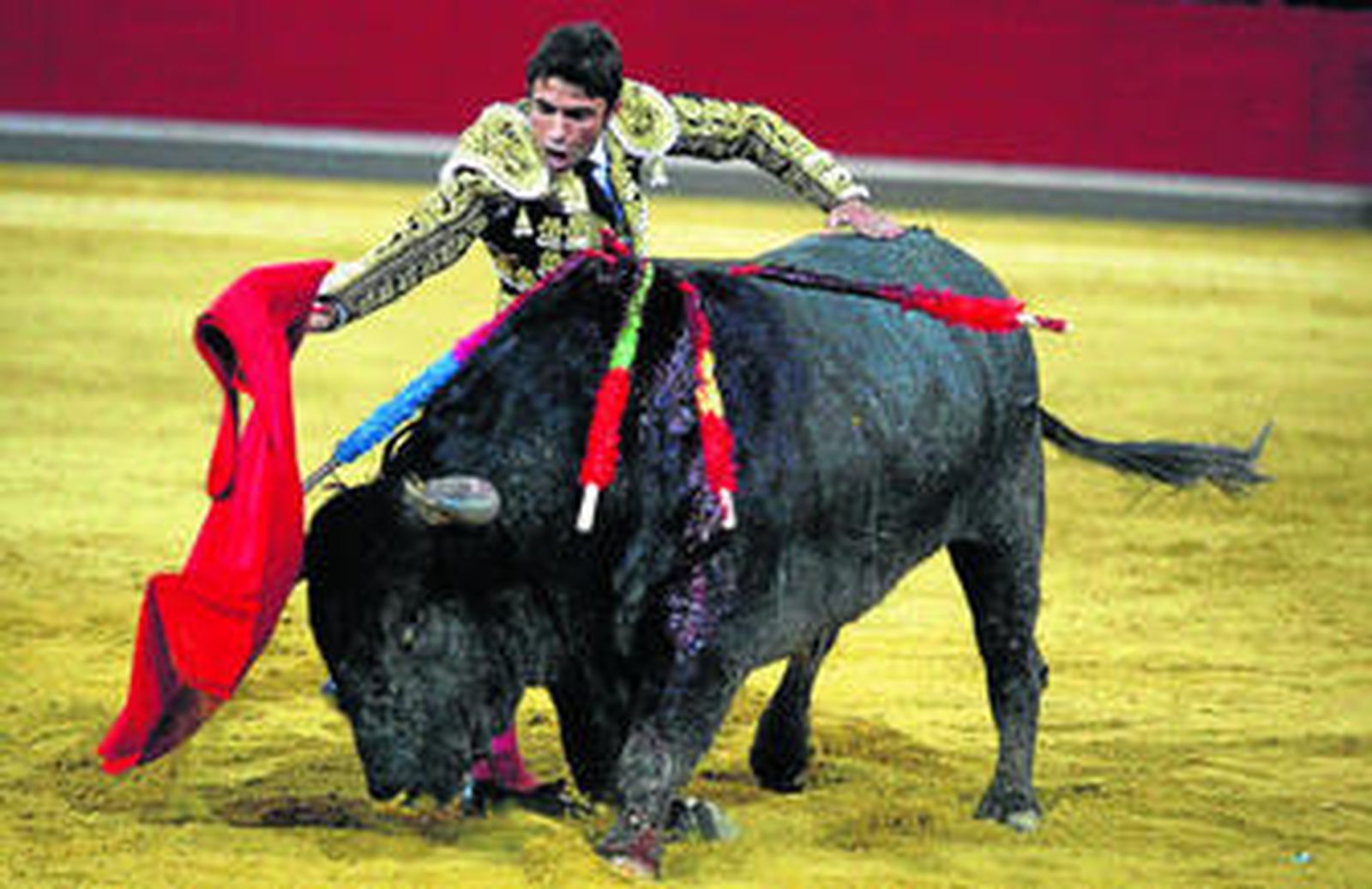Robleño, en plena faena lidiando a uno de los victorinos.