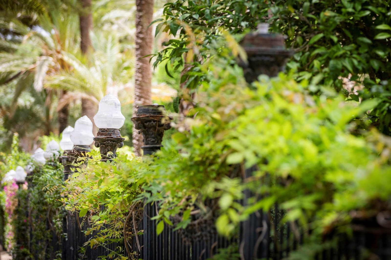 Imágenes del abandono del parque Genovés en Cádiz